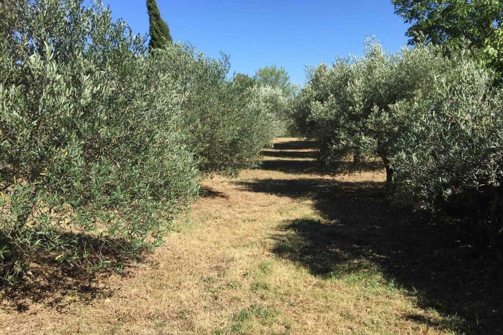 Bastide Derroc Villa Cotignac Eksteriør bilde